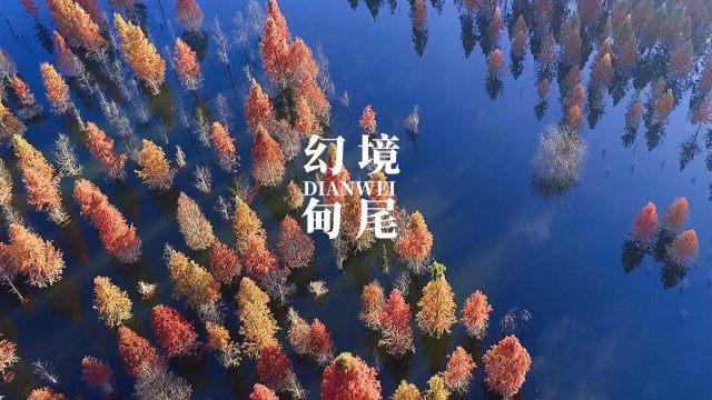 王者荣耀莱西奥,重炮手高达输出,简单教学!