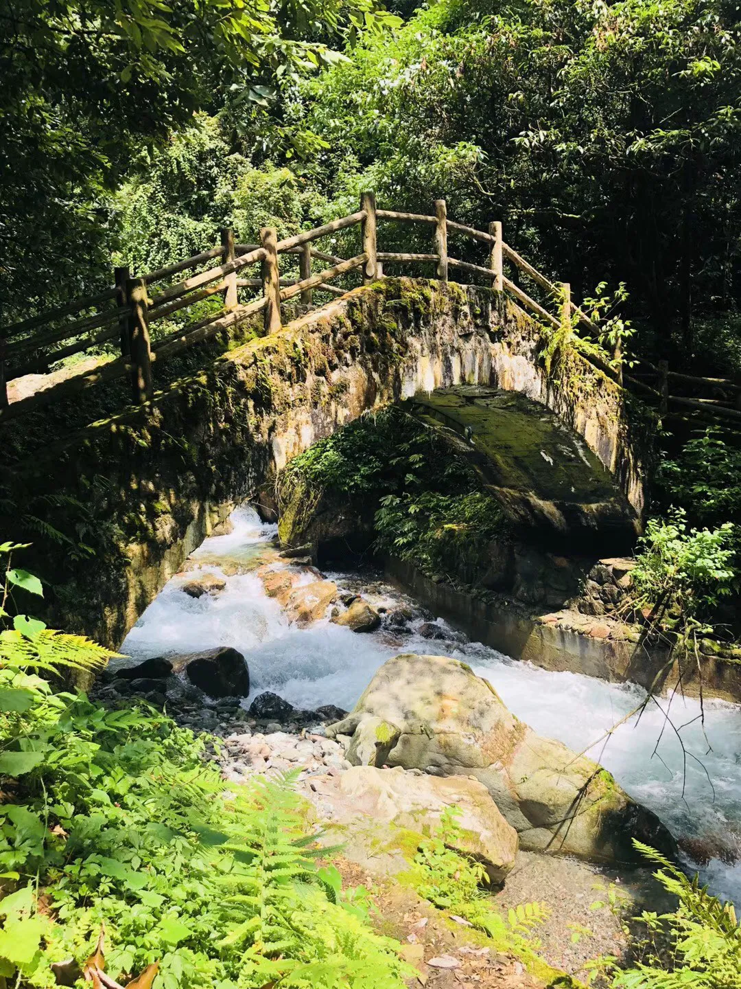 动漫人物吃东西